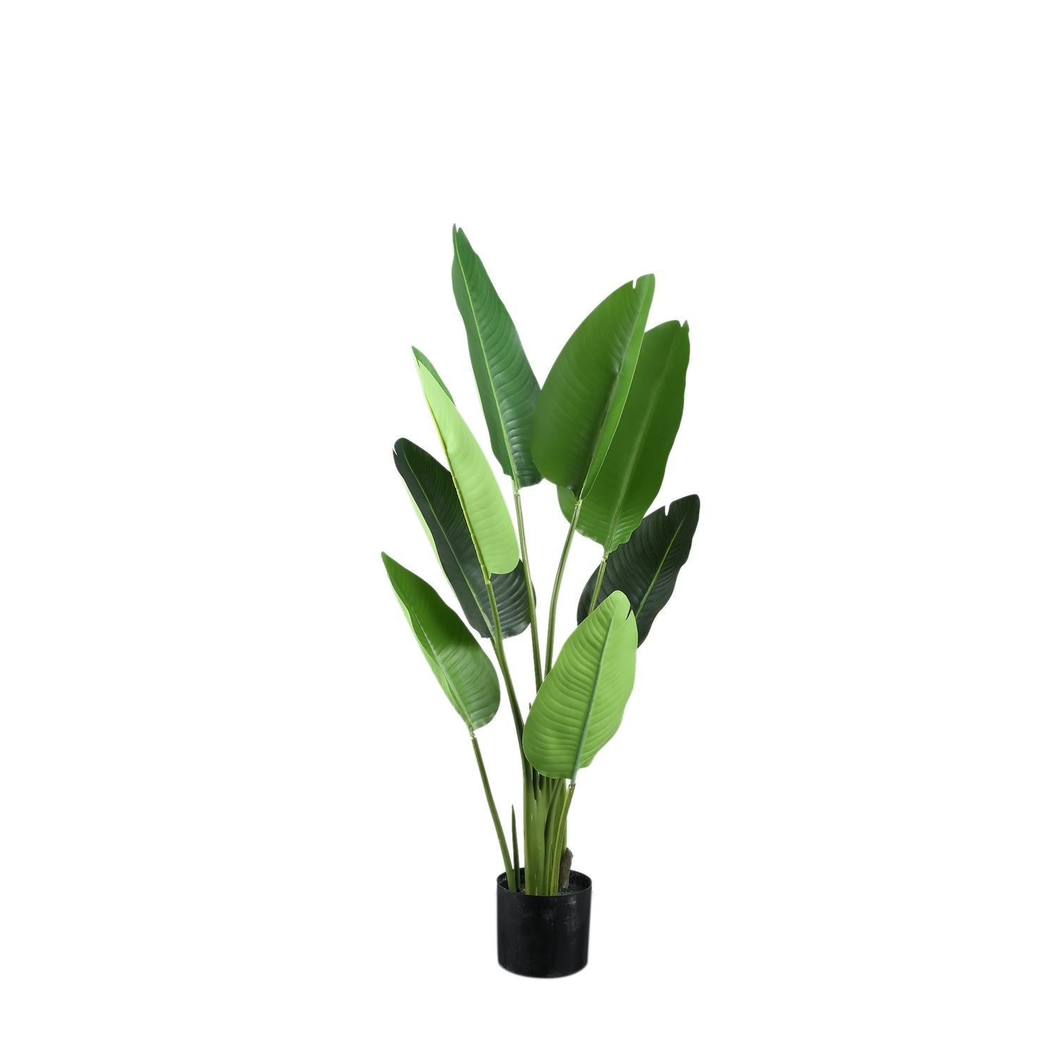 Leaves Plant Green PE Real Touch Strelitzia S
