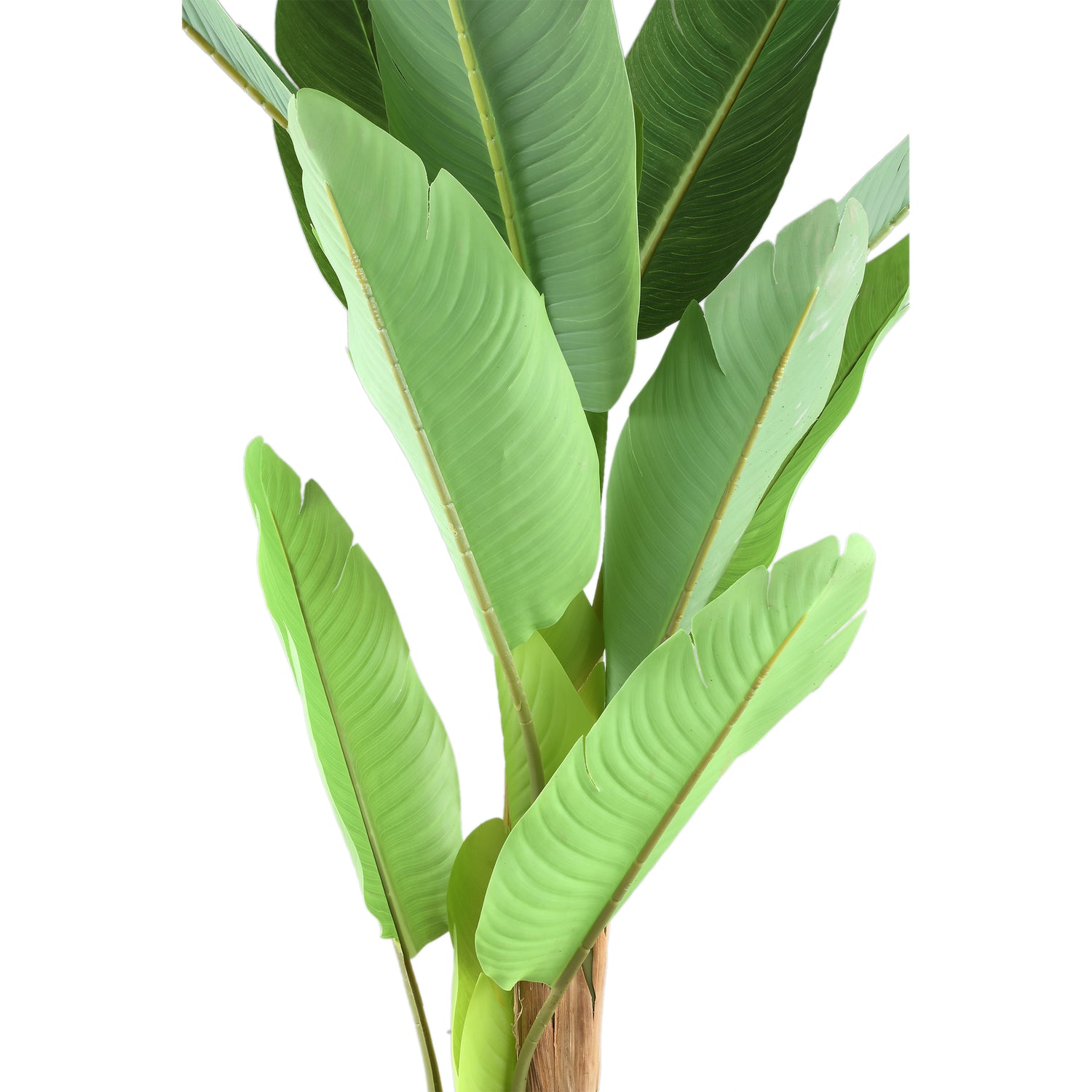 Tree Green PE Real Touch Banana Tree S