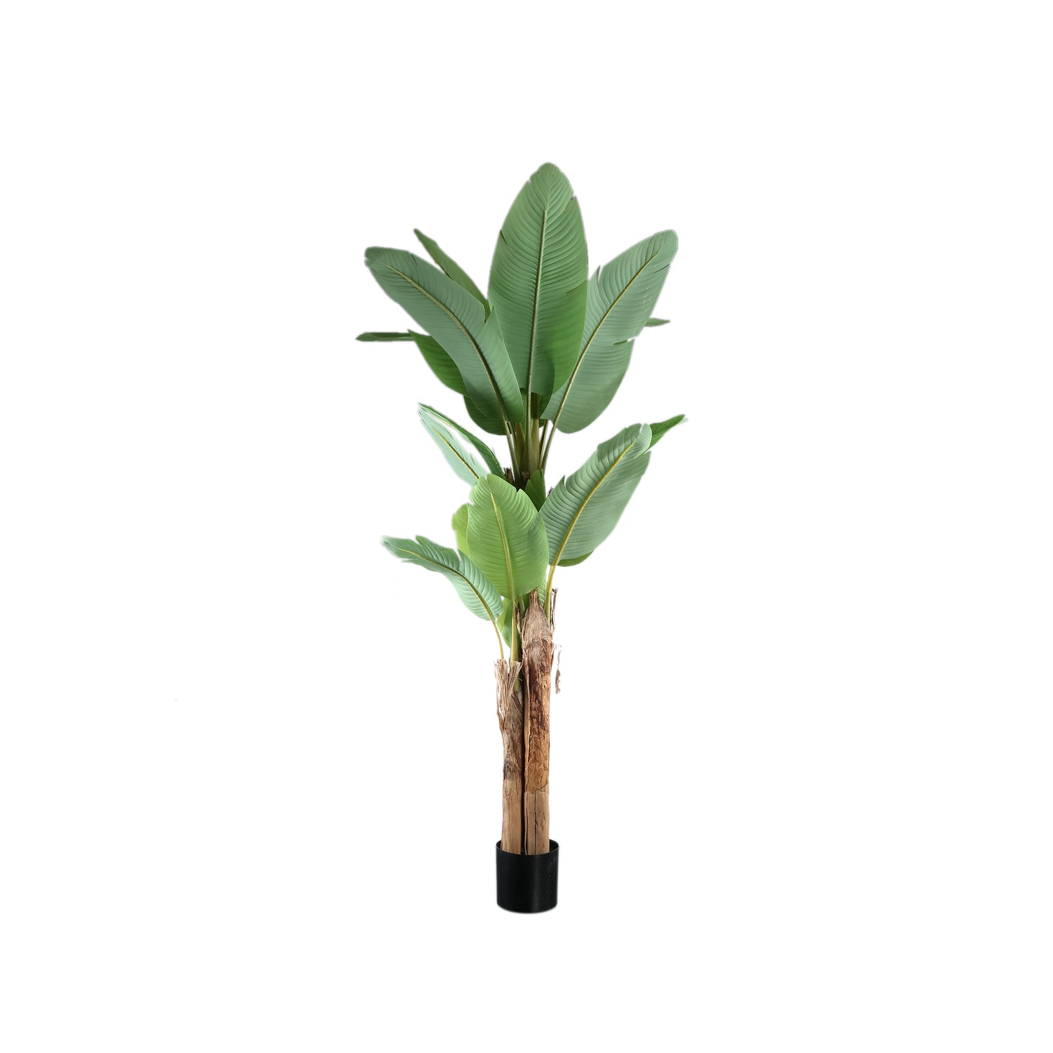 Tree Green PE Real Touch Banana Tree M