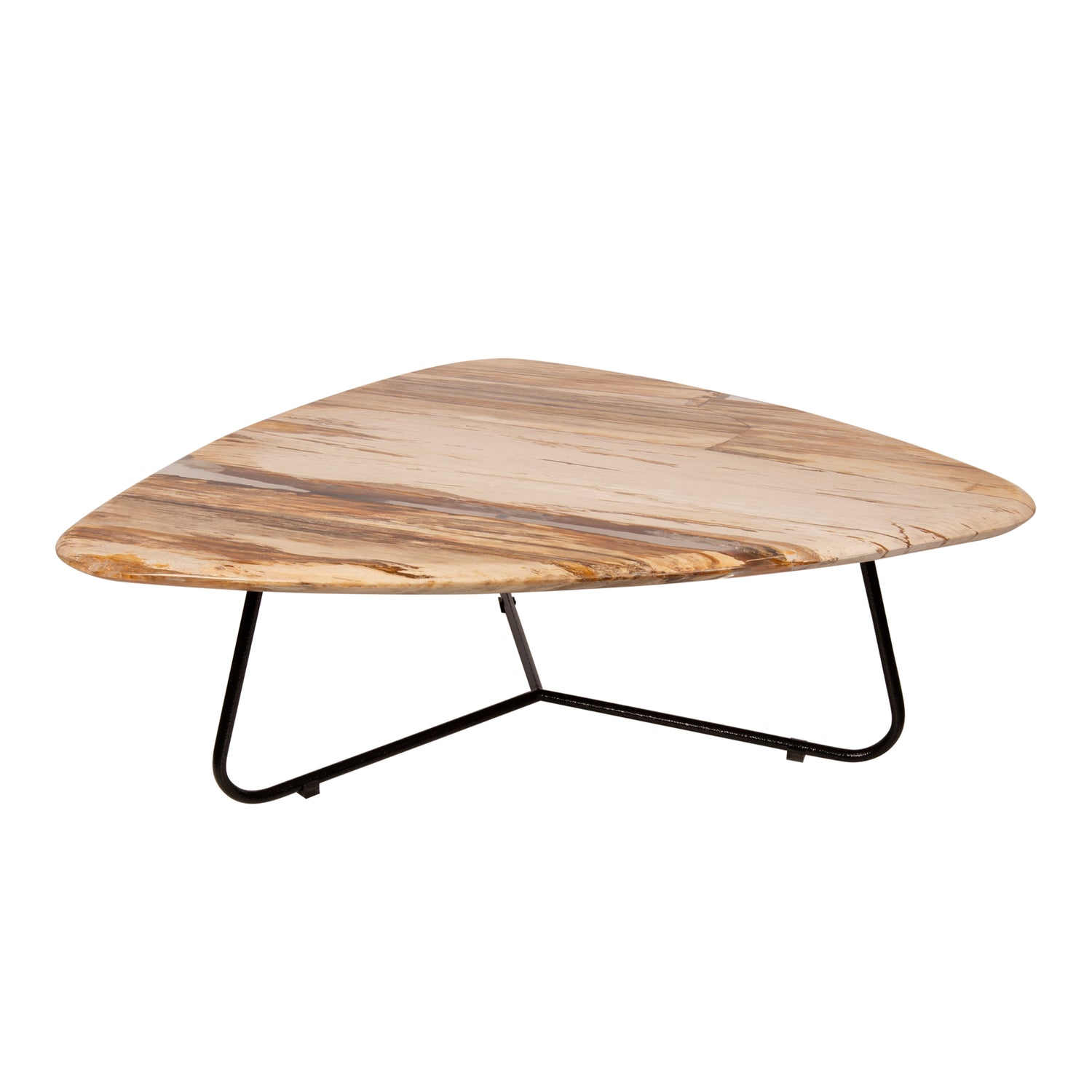 Deeba Coffeetable Petrified Wood 95
