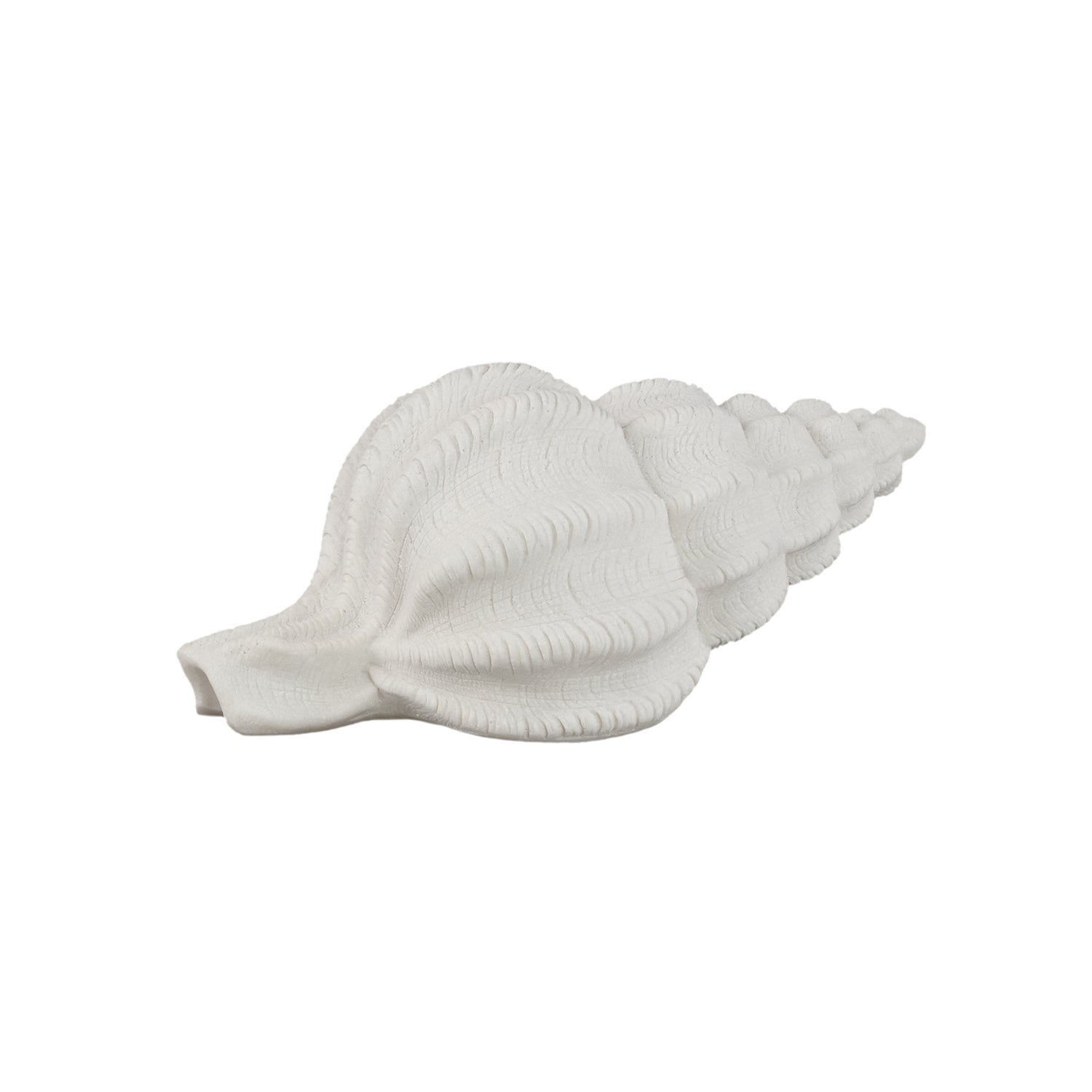 Graeme White Poly Shell Shaped LED Lamp Lines S