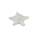 Graeme White Poly Sea Star Shaped LED Lamp S