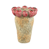 Fruitsy Red Round Terra Pot Strawberries High M