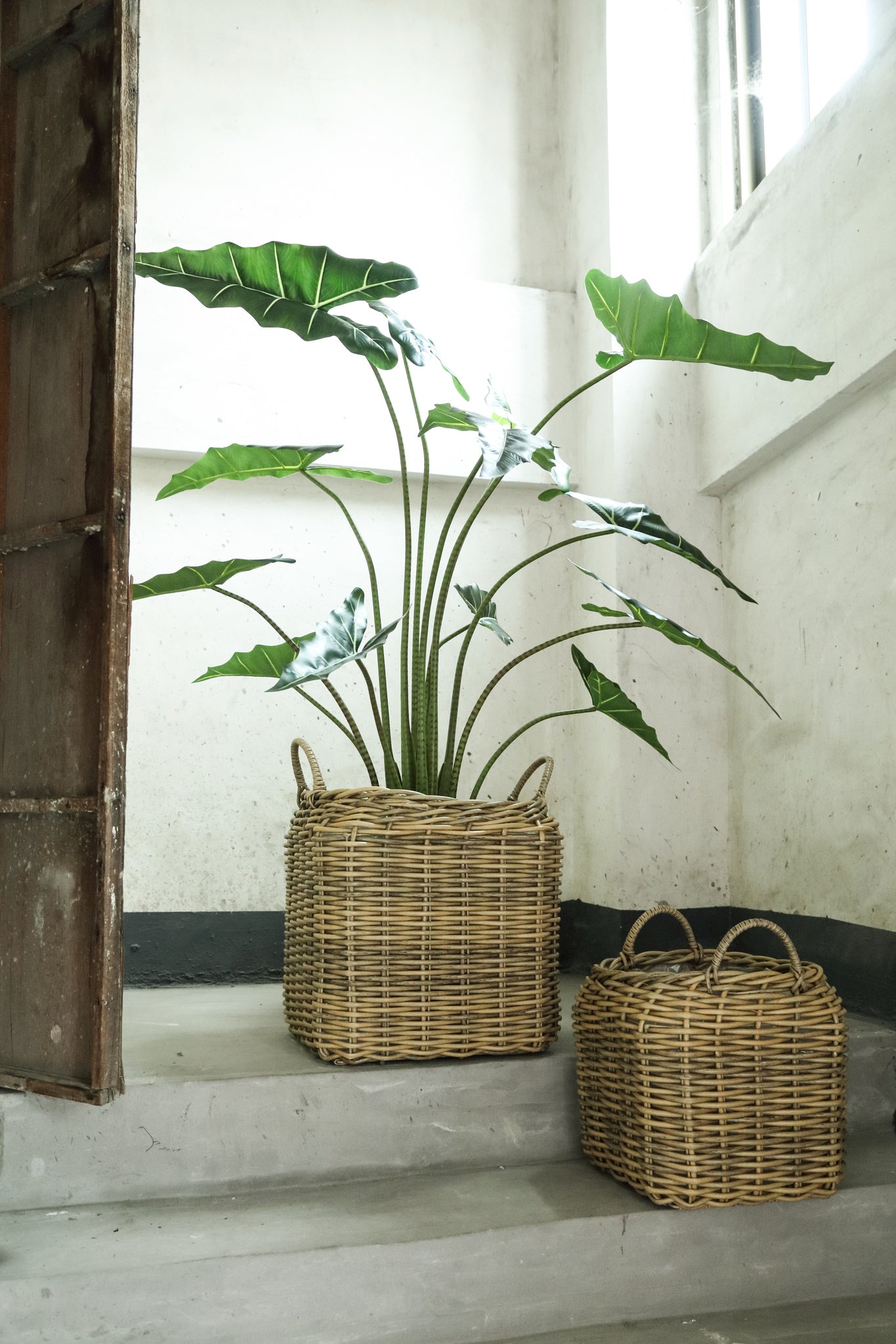 Jezzelle Natural PE Woven Basket Square Set Of 2