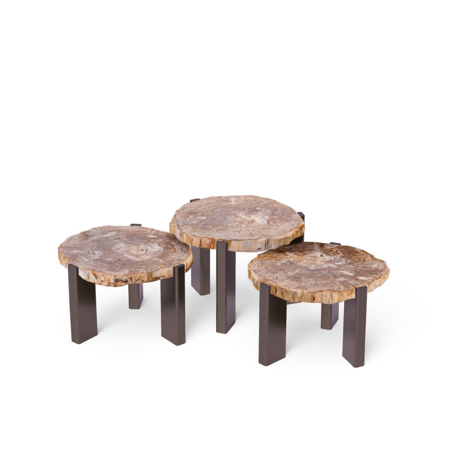 Rudi Natural Petrified Wood Coffeetable Nickel Set van 3