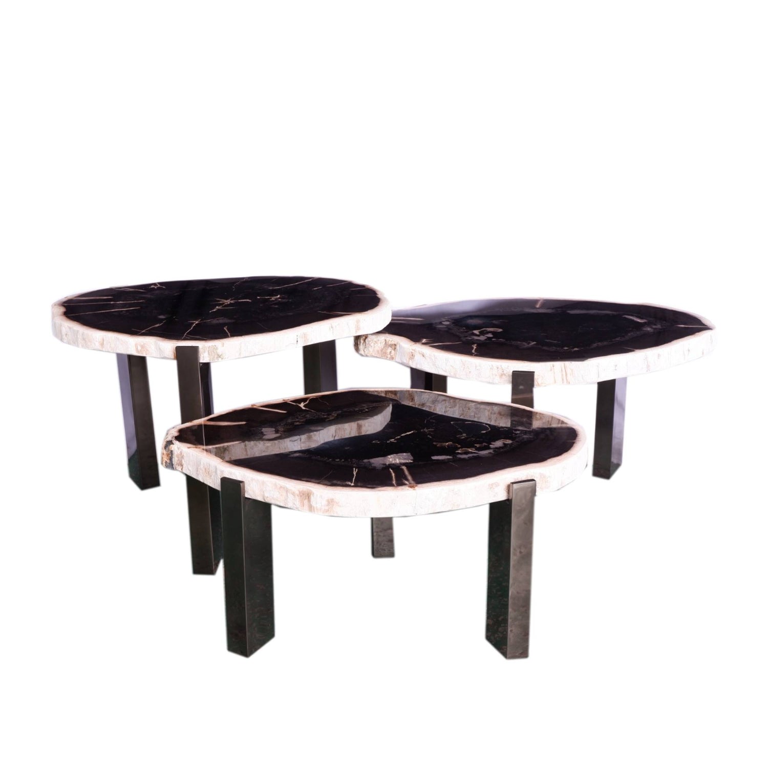 Rudi Grey Petrified Wood Coffeetable Nickel Set van 3