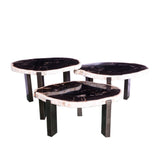 Rudi Grey Petrified Wood Coffeetable Nickel Set van 3