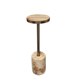 Mody Natural Petrified Wood Sidetable On Base Rnd
