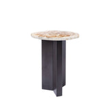 Jisse Natural Petrified Wood Sidetable Twist Base