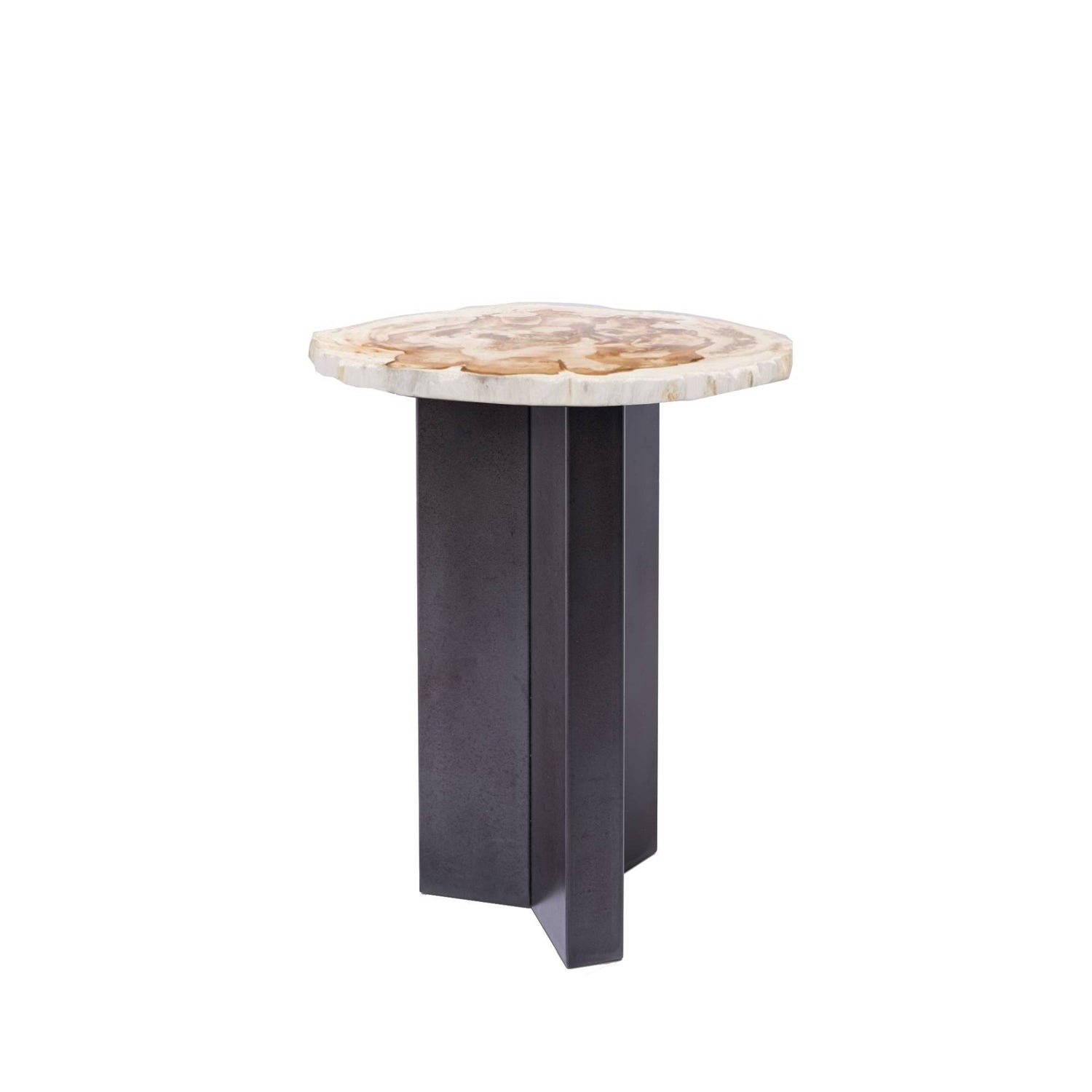 Jisse Natural Petrified Wood Sidetable Twist Base