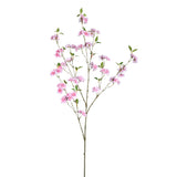 Blossom Flower Pink Blossom Spray