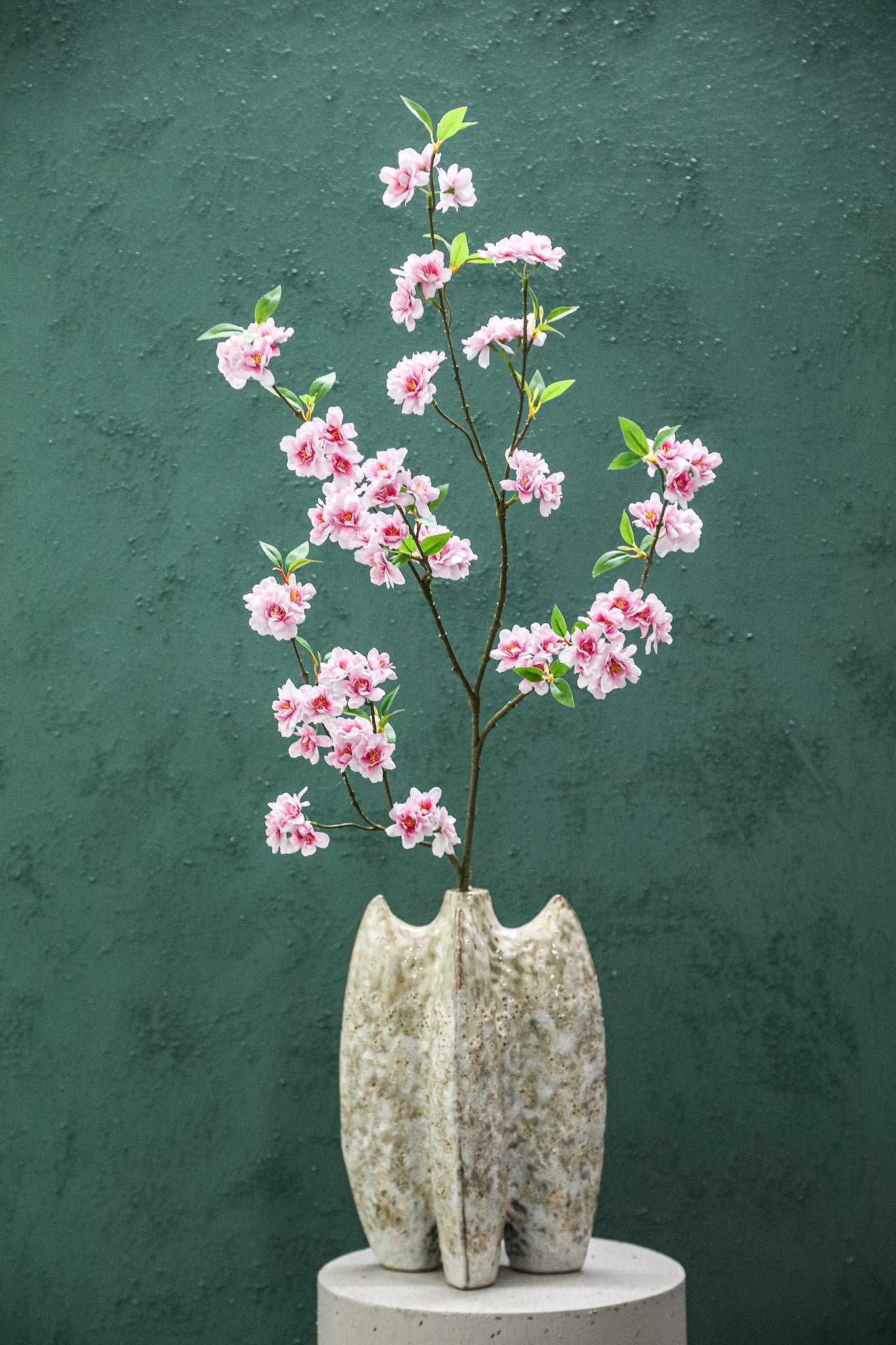 Blossom Flower Pink Blossom Spray