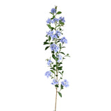 Garden Flower Blue Plumbago Twig With Leaves
