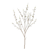 Blossom Flower White Cherry Blossom L