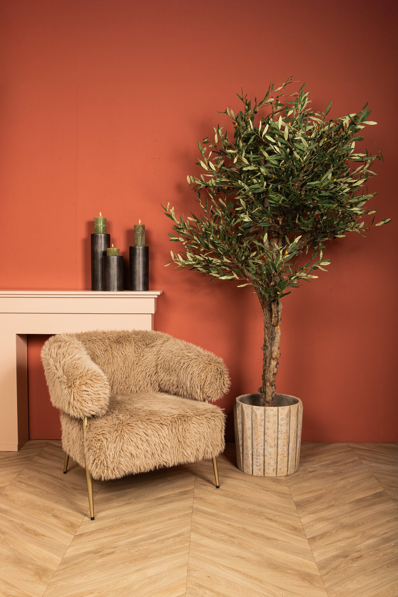 Tree Green Olive Tree In Pot 210cm