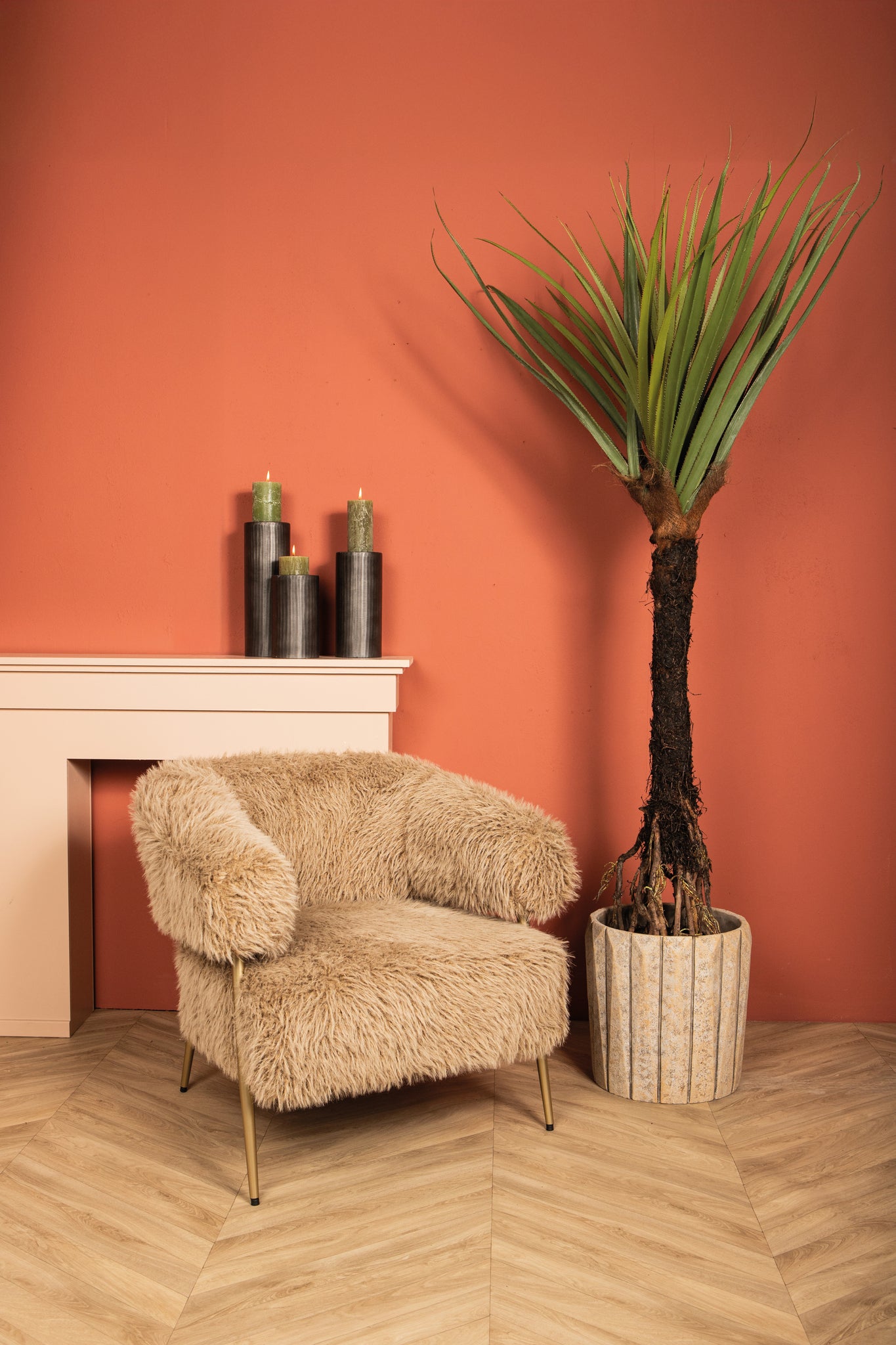 Tree Green Pandanus Tree In Pot 210cm