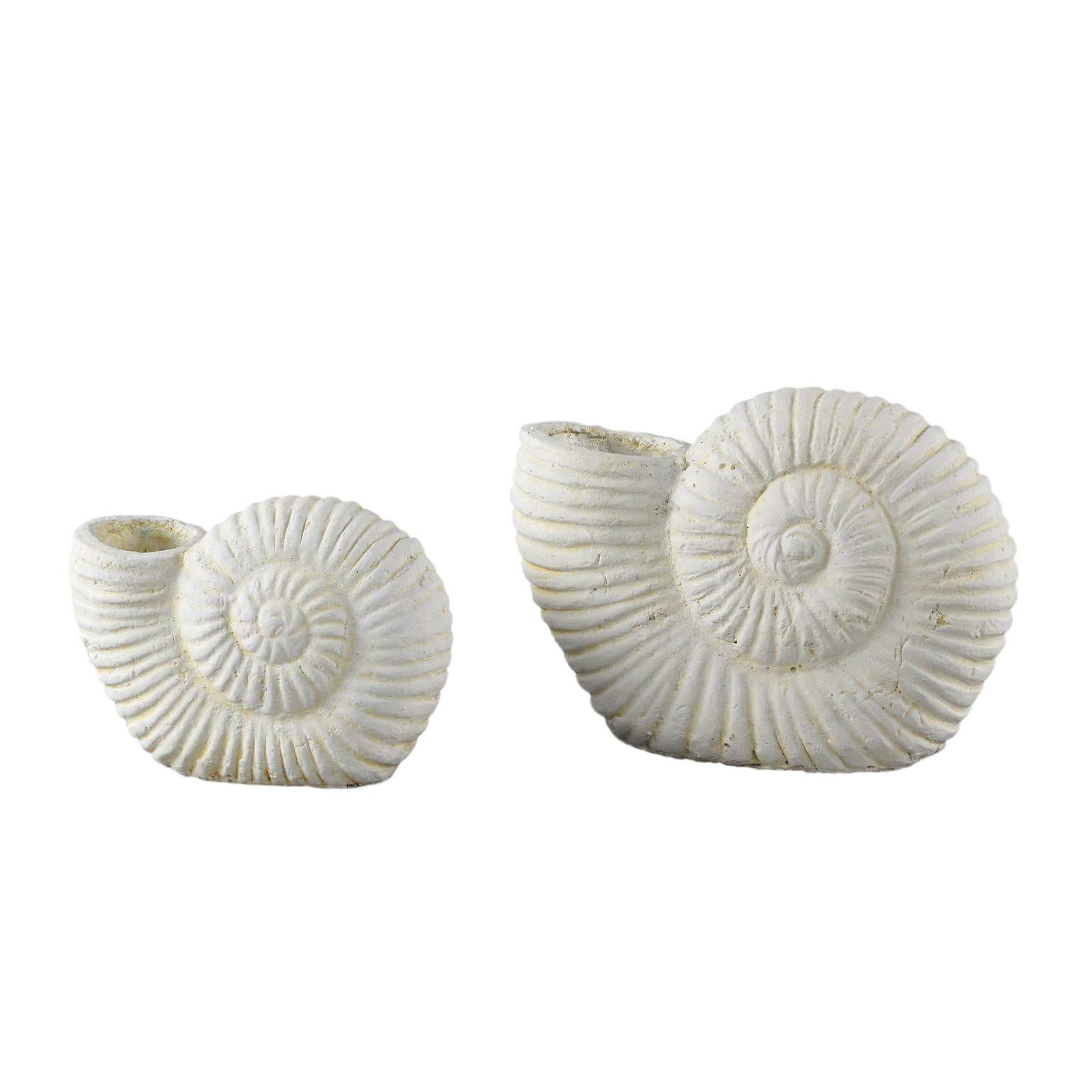 Shelly White Shell Shaped Cement Statue L