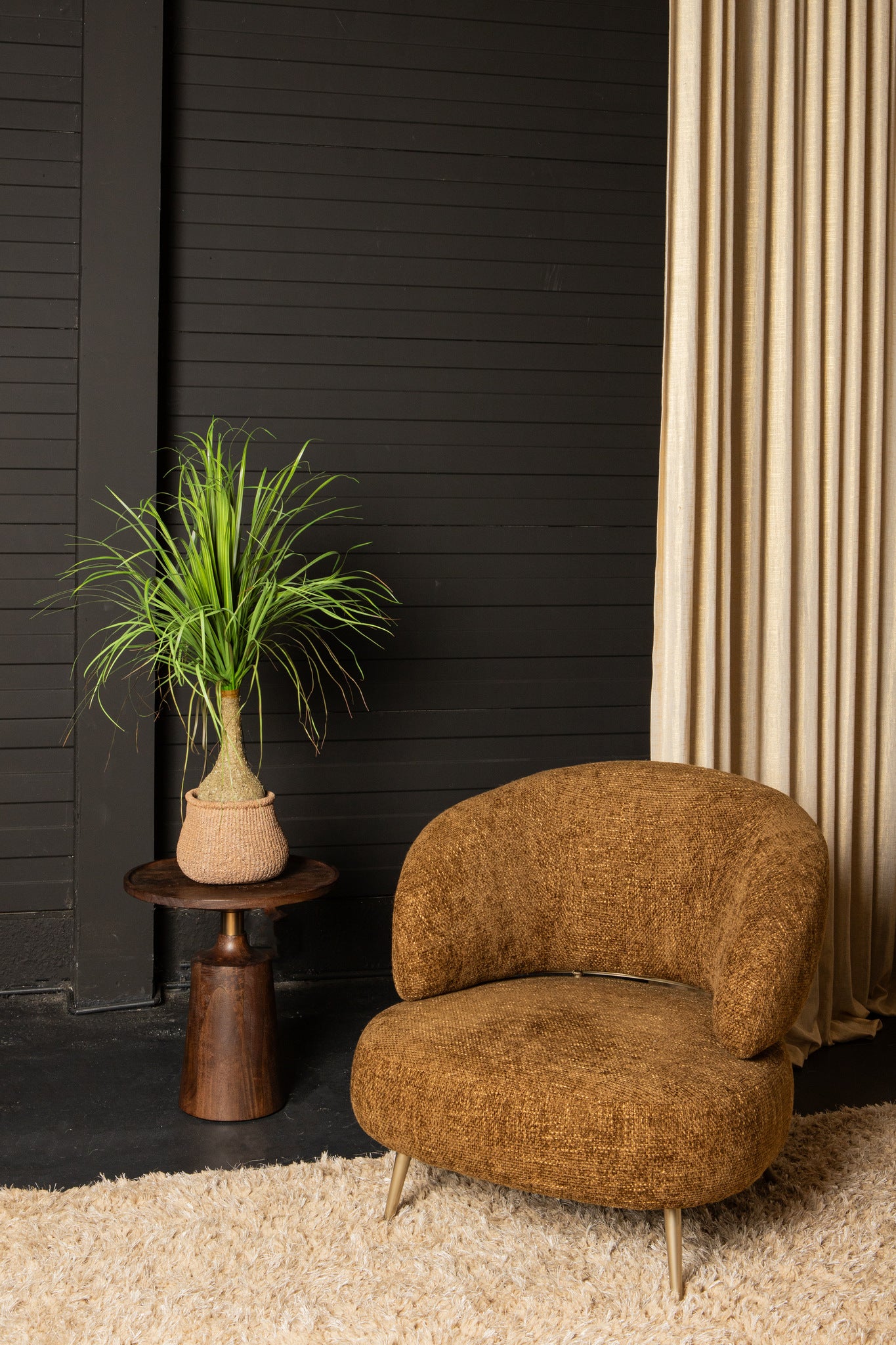 Leaves Plant Green Onion Grass On Coconut Tree B