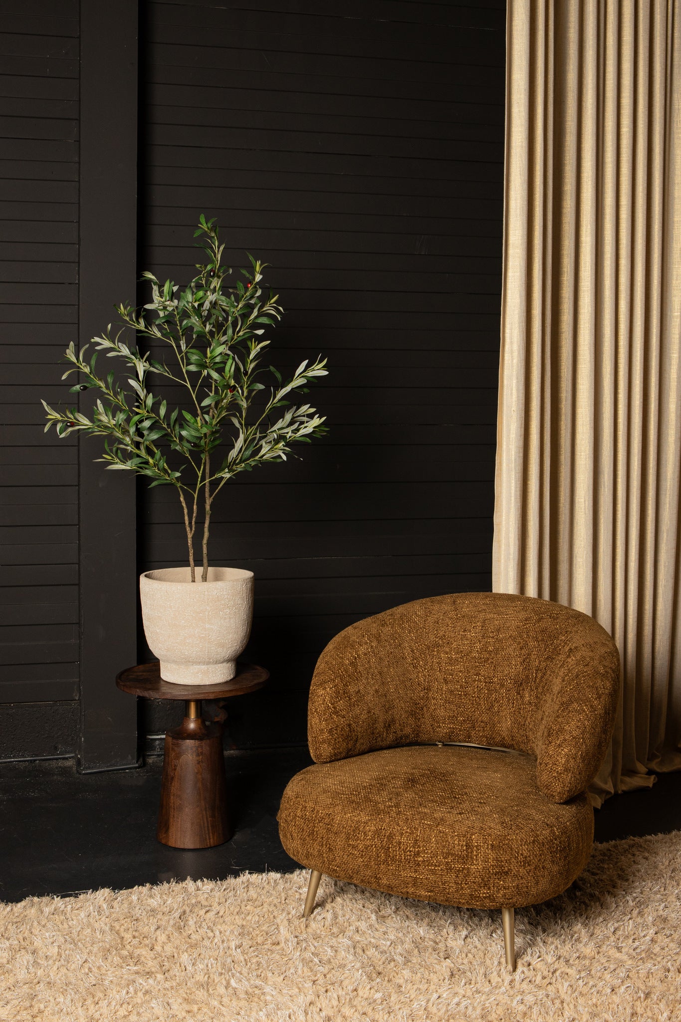 Tree Green Olive Tree In Pot S