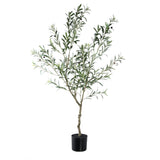 Tree Green Olive Tree In Pot L