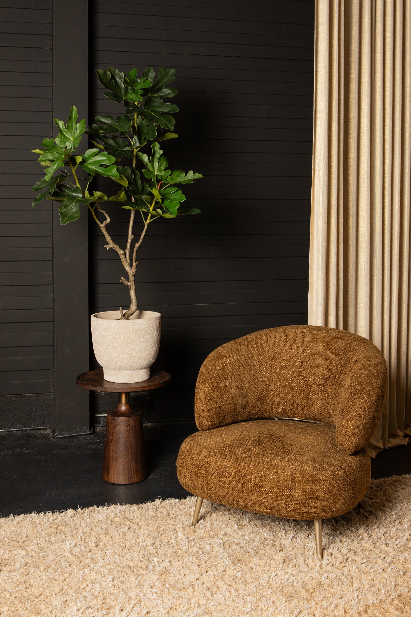 Tree Green Fig Tree In Pot S