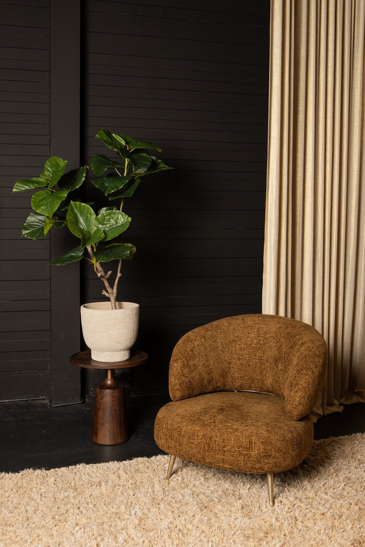 Tree Green Ficus Tree In Pot L