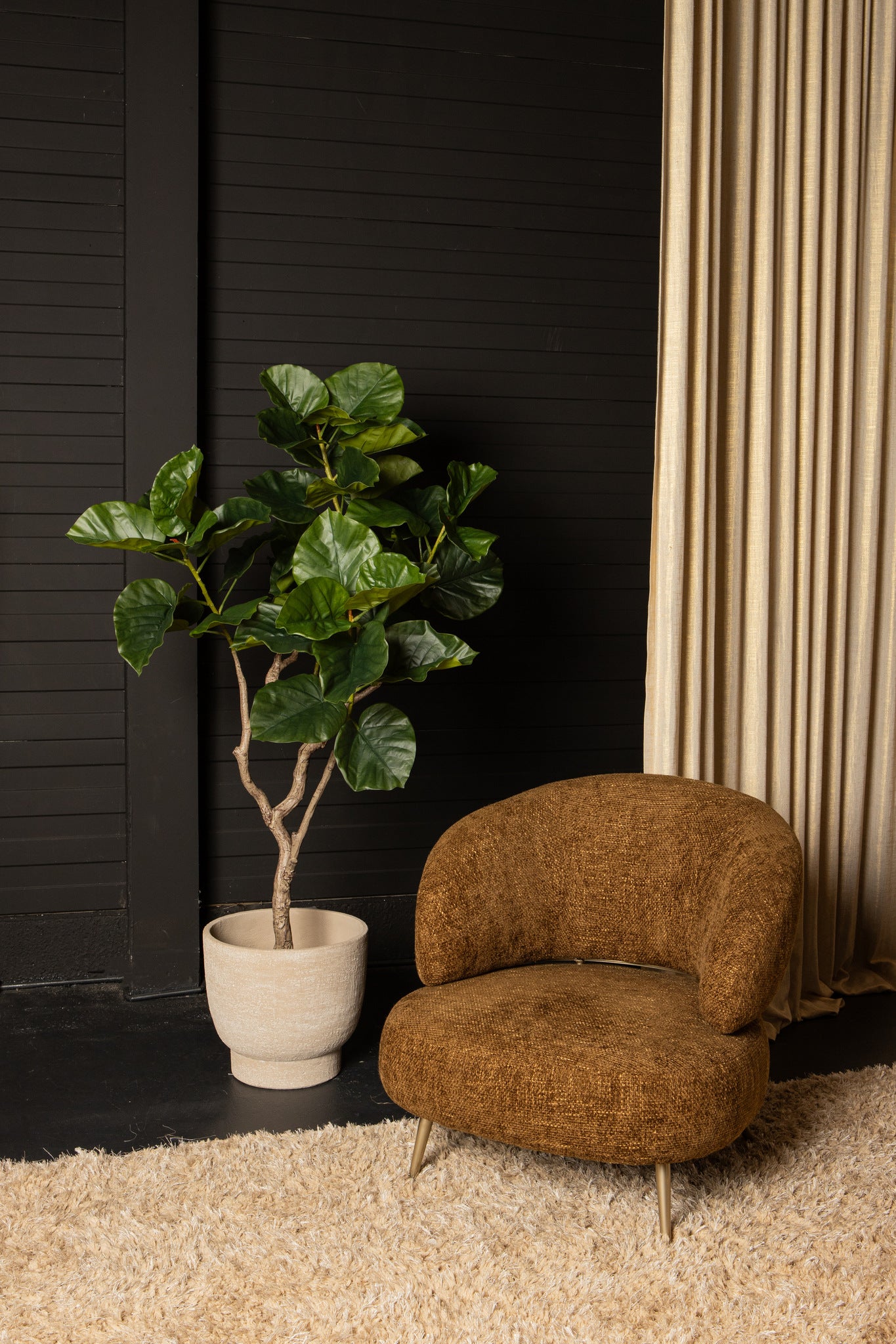 Tree Green Ficus Tree In Pot S