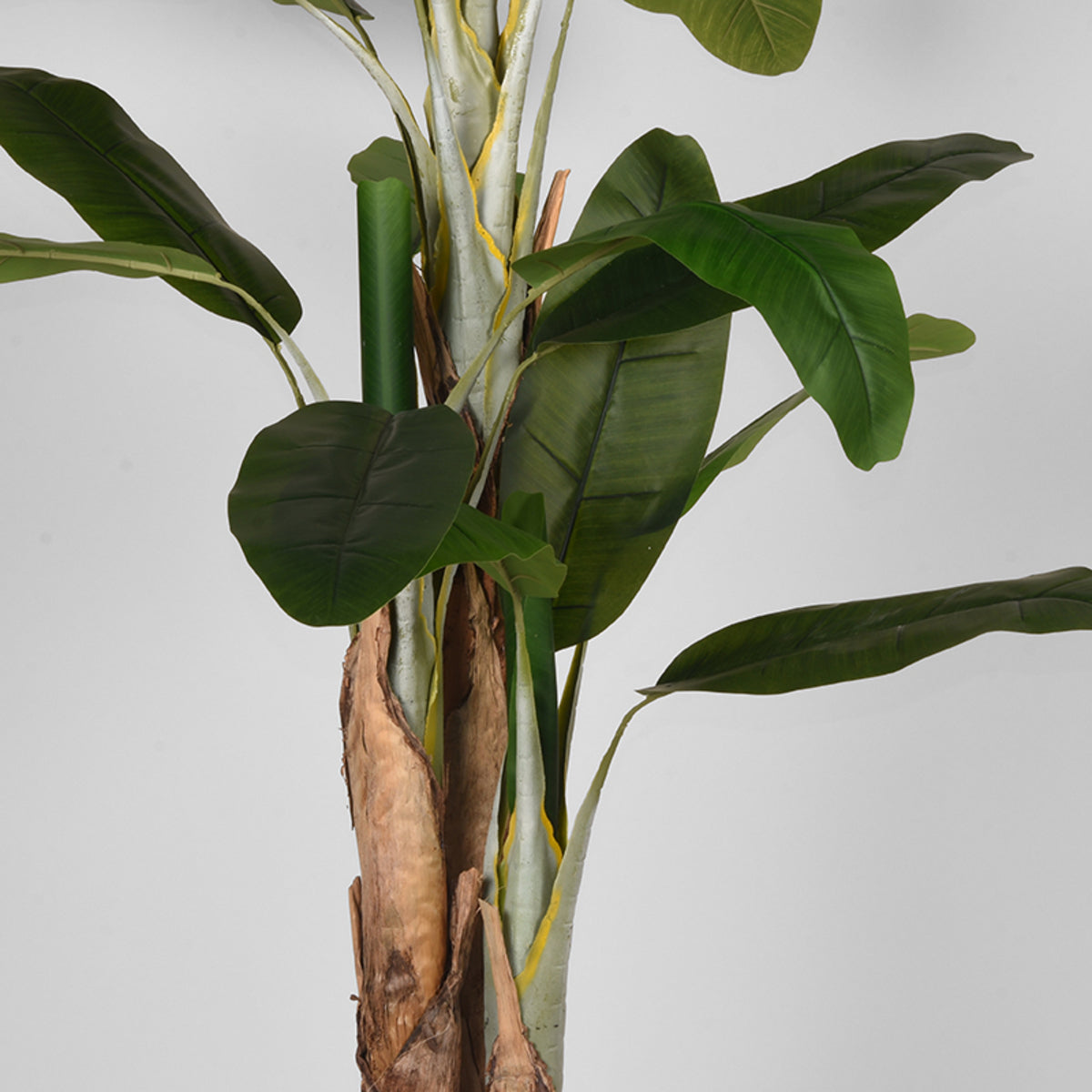 LABEL51 Musa - Green - Plastic - 180 cm