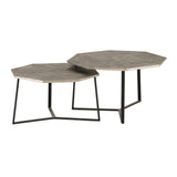 Ancona salontafel, set van 2, Zilver antiek